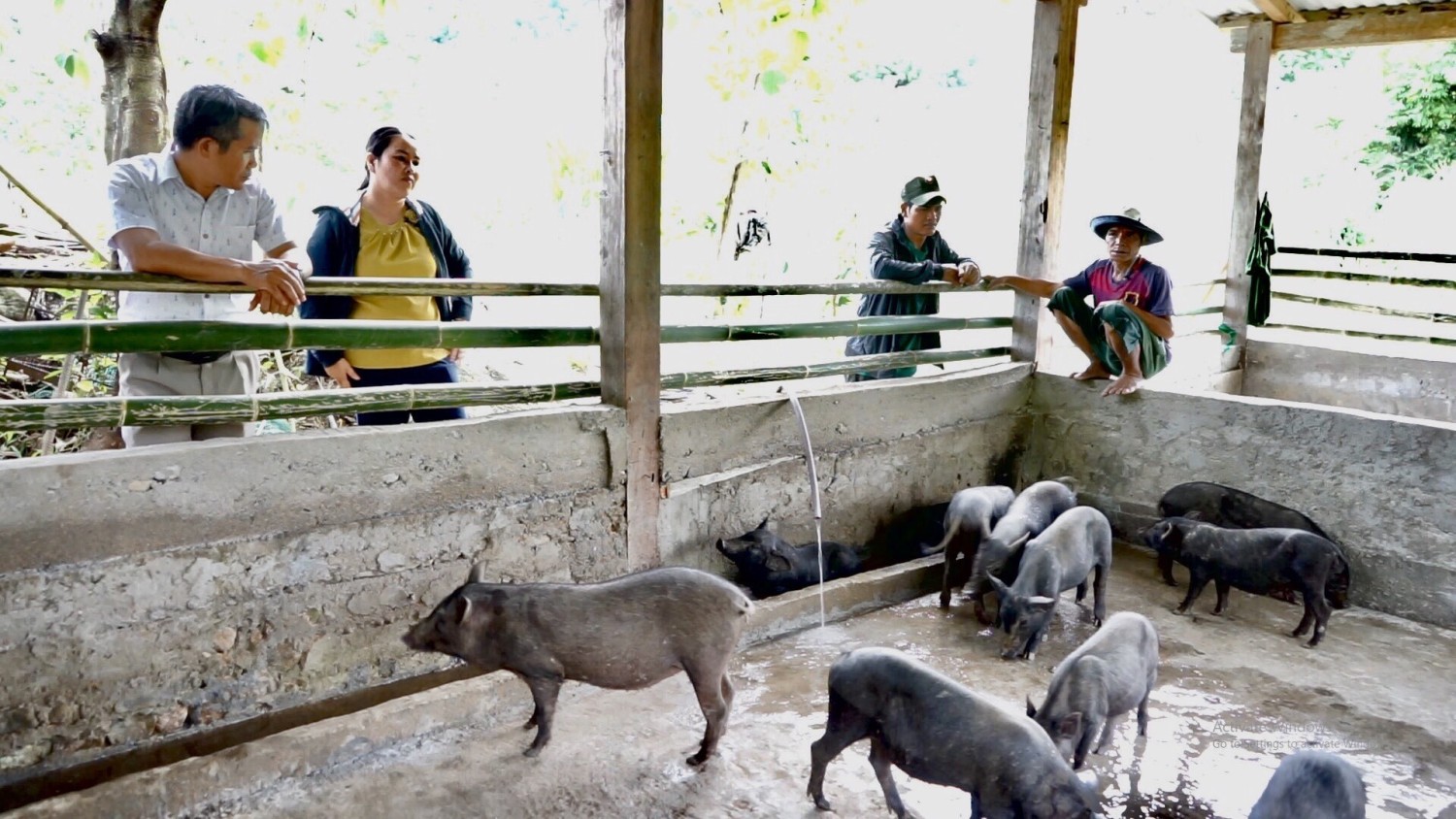 Nam Trà My triển khai hiệu quả nhiều mô hình giảm nghèo. Ảnh: PHÚ THIỆN